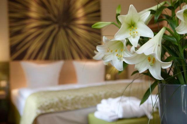 Logis Hotel Kur- Und Wellnesshaus Spree Balance Burg  Room photo